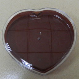 方罐封口機的制造,江門廠家直銷